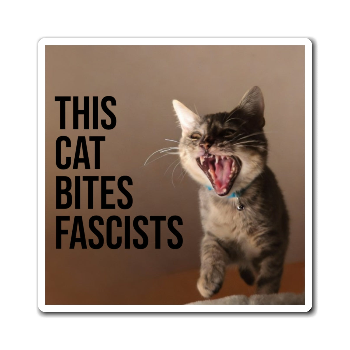 Magnet – "This Cat Bites Fascists" Political Cat Fridge Magnet