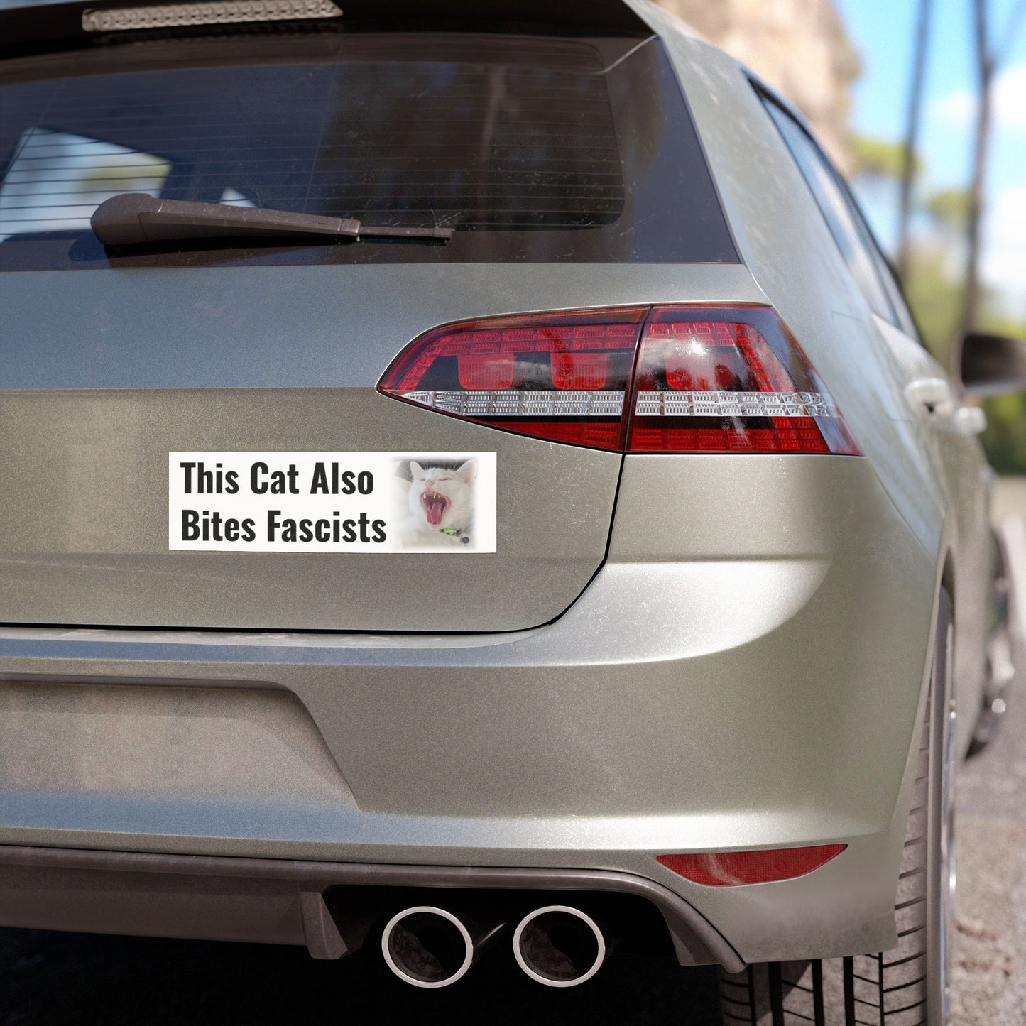 Car Magnet — "This Cat Also Bites Fascists" - 10"x3"